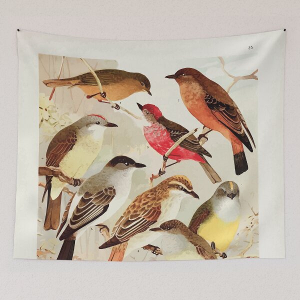 Item preview, Birds of the Amazon Album de aves amazonicas Emil Goldi 1906 037 Bemtevis designed and sold by WetdryvacRB01.