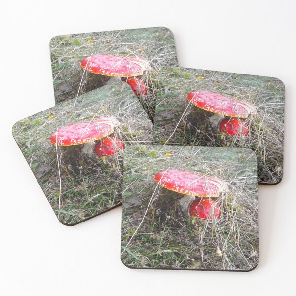 Item preview, red toadstool designed and sold by miaterinka.