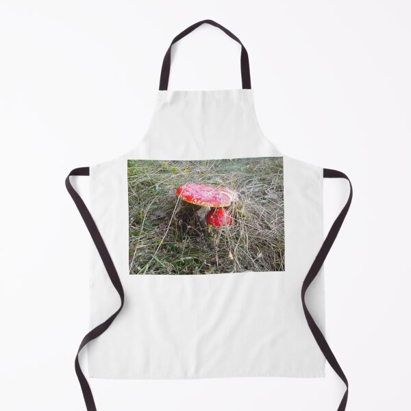 Item preview, red toadstool designed and sold by miaterinka.