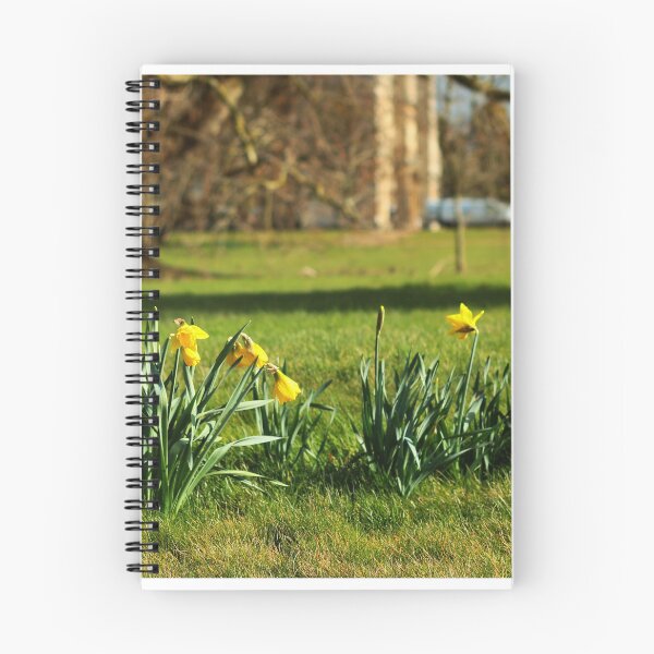 Item preview, The Daffodils are out designed and sold by Fazzle14711.