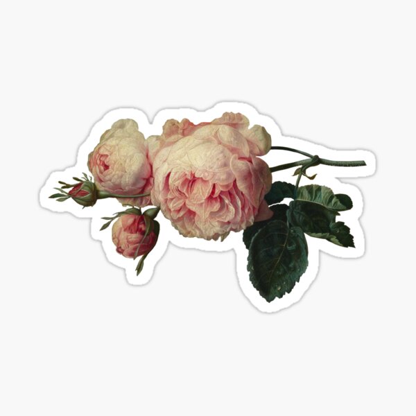 Item preview, Vintage Rose Painting designed and sold by elinaarbidane.