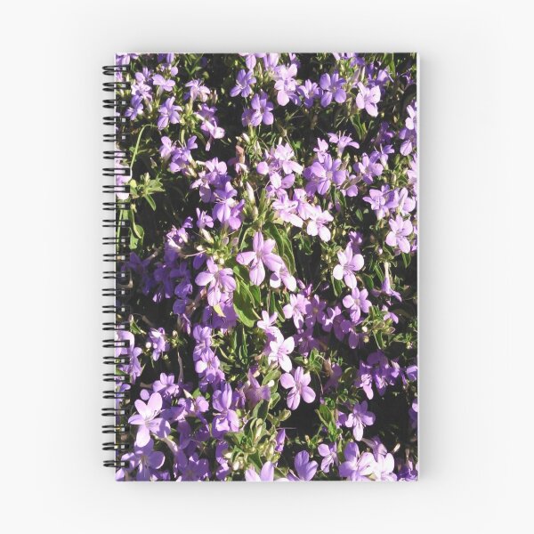 Item preview, Barleria obtusa designed and sold by Nanacorner.