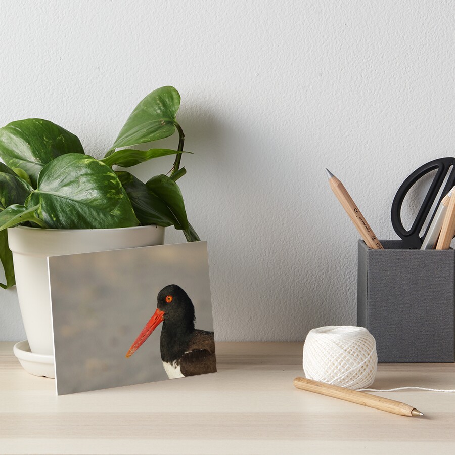 Item preview, Art Board Print designed and sold by acwb.