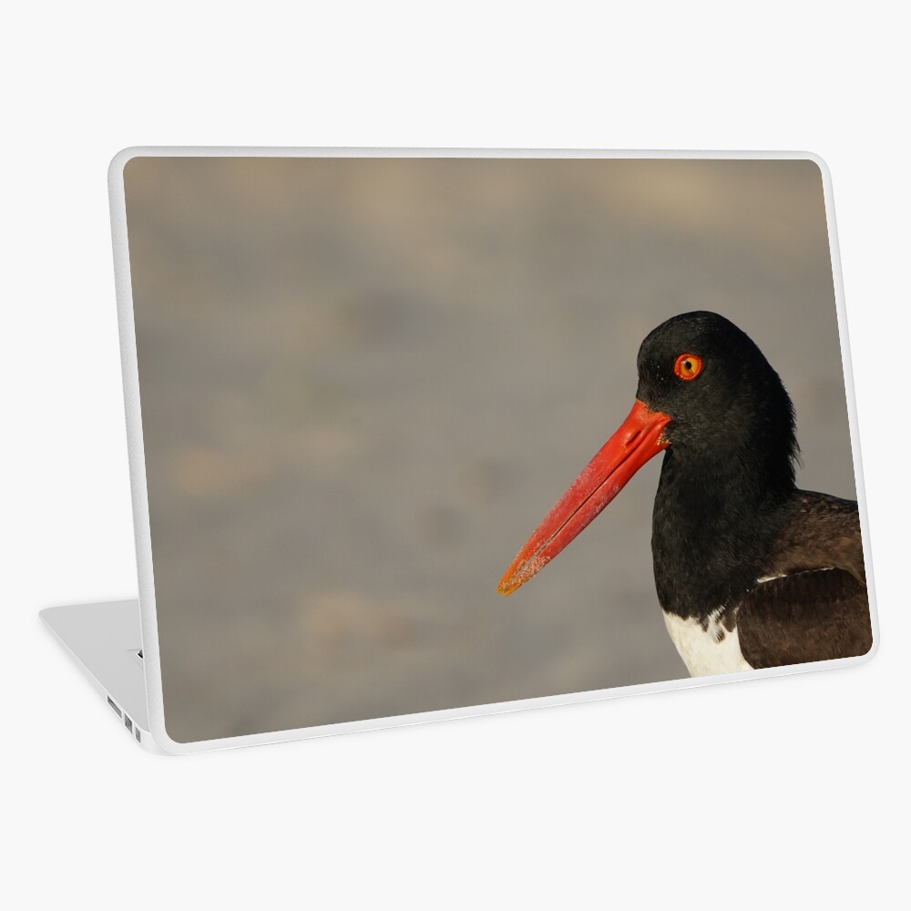 Item preview, Laptop Skin designed and sold by acwb.