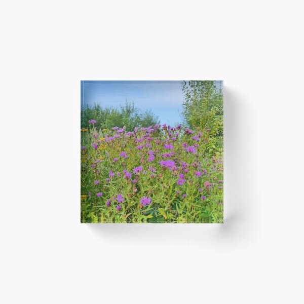 Item preview, bright flowers of wild herbs designed and sold by mrivserg.