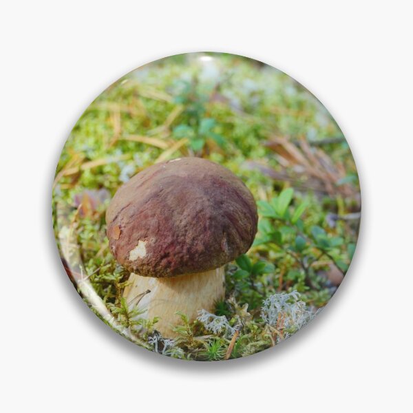 Item preview, small white mushroom boletus designed and sold by mrivserg.
