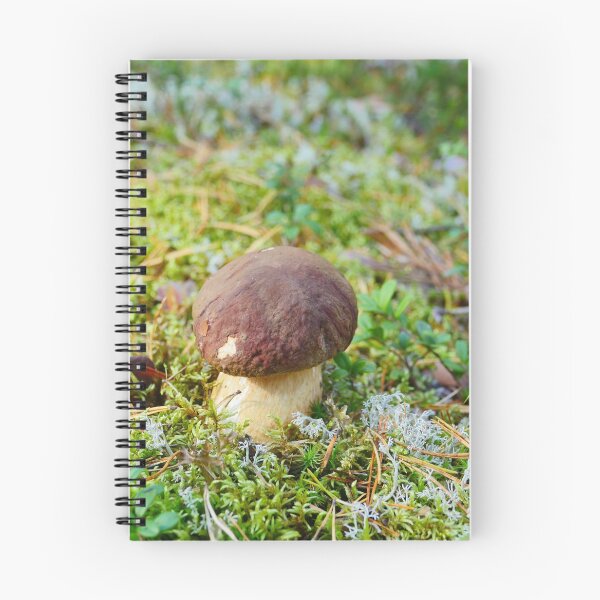 Item preview, small white mushroom boletus designed and sold by mrivserg.