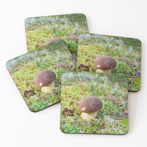 Item preview, small white mushroom boletus designed and sold by mrivserg.