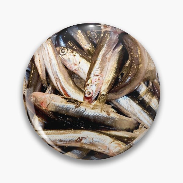 Item preview, European anchovies designed and sold by troianifabrizio.