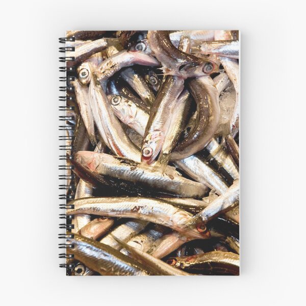 Item preview, European anchovies designed and sold by troianifabrizio.