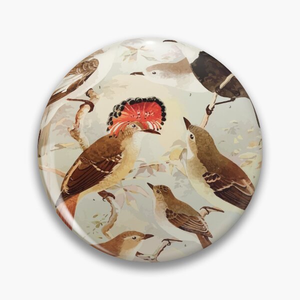 Item preview, Birds of the Amazon Album de aves amazonicas Emil Goldi 1906 038 Viuvinha Lecre Ferreirinho designed and sold by WetdryvacRB01.