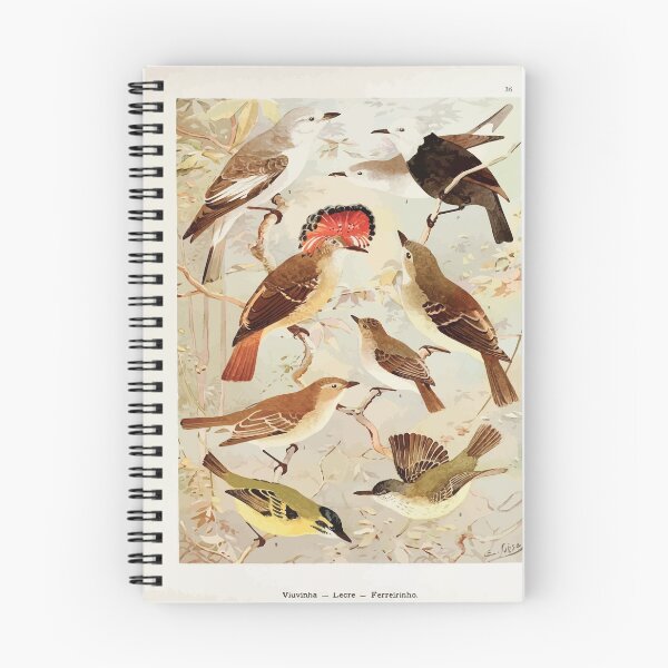 Item preview, Birds of the Amazon Album de aves amazonicas Emil Goldi 1906 038 Viuvinha Lecre Ferreirinho designed and sold by WetdryvacRB01.