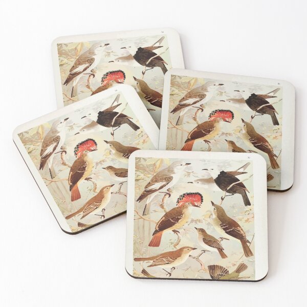 Item preview, Birds of the Amazon Album de aves amazonicas Emil Goldi 1906 038 Viuvinha Lecre Ferreirinho designed and sold by WetdryvacRB01.