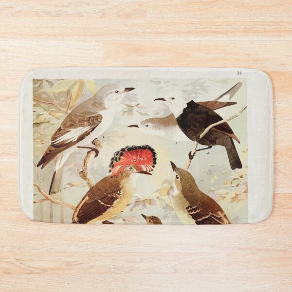 Item preview, Birds of the Amazon Album de aves amazonicas Emil Goldi 1906 038 Viuvinha Lecre Ferreirinho designed and sold by WetdryvacRB01.