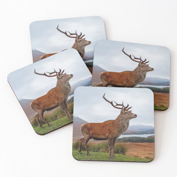 Artikelvorschau, Deer Stag entworfen und verkauft von Grant Glendinning.