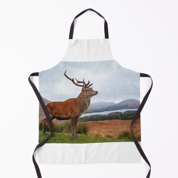 Artikelvorschau, Deer Stag entworfen und verkauft von Grant Glendinning.