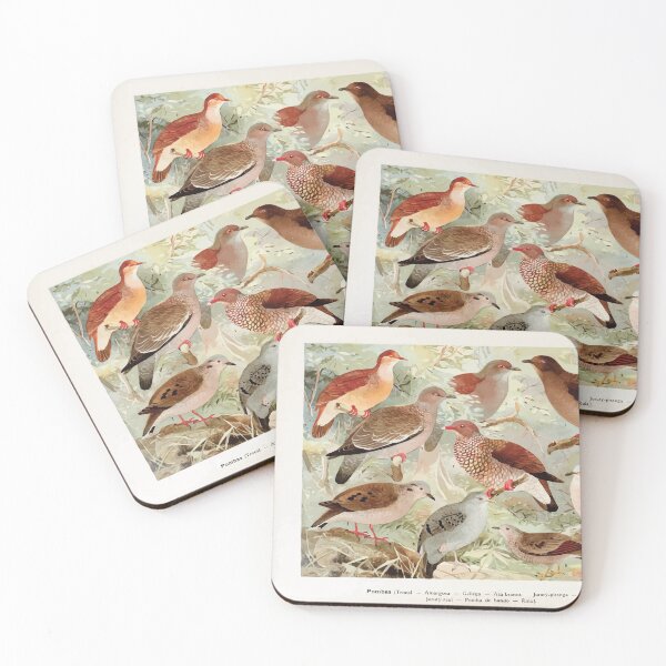 Item preview, Birds of the Amazon Album de aves amazonicas Emil Goldi 1906 039 Pombas designed and sold by WetdryvacRB01.