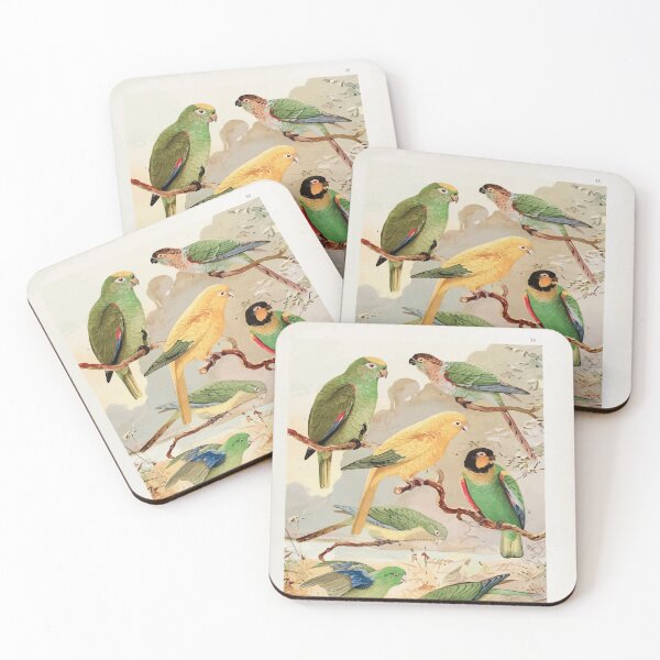 Item preview, Birds of the Amazon Album de aves amazonicas Emil Goldi 1906 040 Papagaios Tanajuba Periquitos designed and sold by WetdryvacRB01.