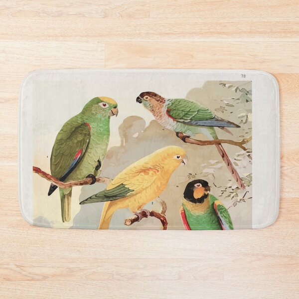 Item preview, Birds of the Amazon Album de aves amazonicas Emil Goldi 1906 040 Papagaios Tanajuba Periquitos designed and sold by WetdryvacRB01.