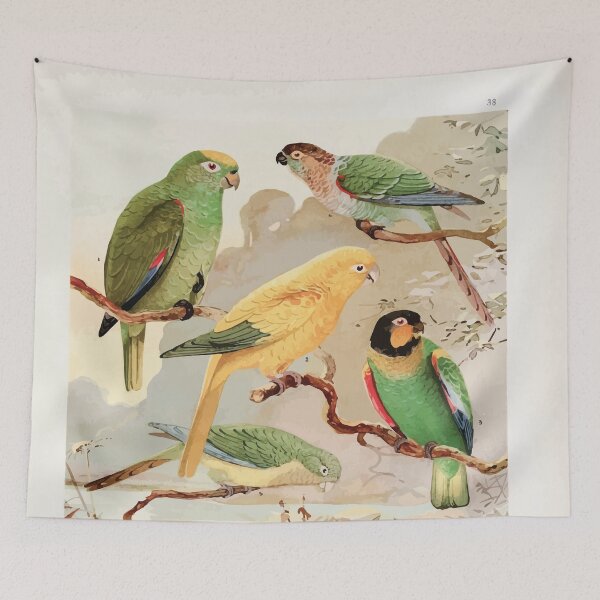 Item preview, Birds of the Amazon Album de aves amazonicas Emil Goldi 1906 040 Papagaios Tanajuba Periquitos designed and sold by WetdryvacRB01.