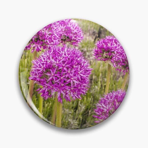 Item preview, Pink Allium Flowers designed and sold by SarahStephensPh.