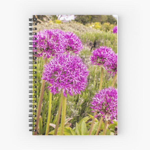 Item preview, Pink Allium Flowers designed and sold by SarahStephensPh.