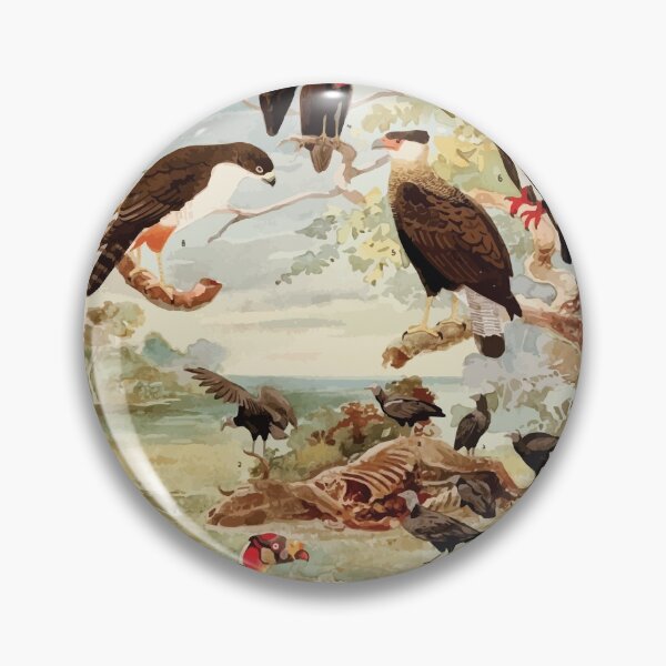 Item preview, Birds of the Amazon Album de aves amazonicas Emil Goldi 1906 041 Gavioes designed and sold by WetdryvacRB01.