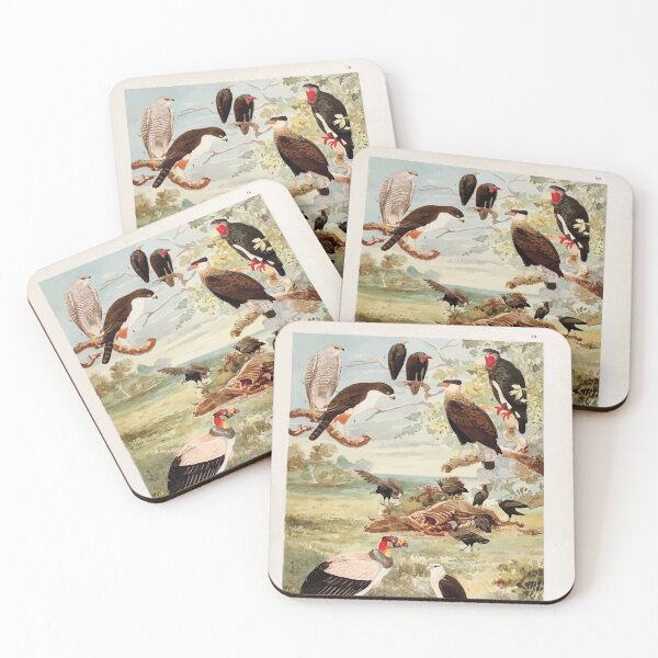 Item preview, Birds of the Amazon Album de aves amazonicas Emil Goldi 1906 041 Gavioes designed and sold by WetdryvacRB01.