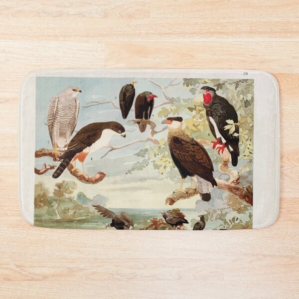 Item preview, Birds of the Amazon Album de aves amazonicas Emil Goldi 1906 041 Gavioes designed and sold by WetdryvacRB01.