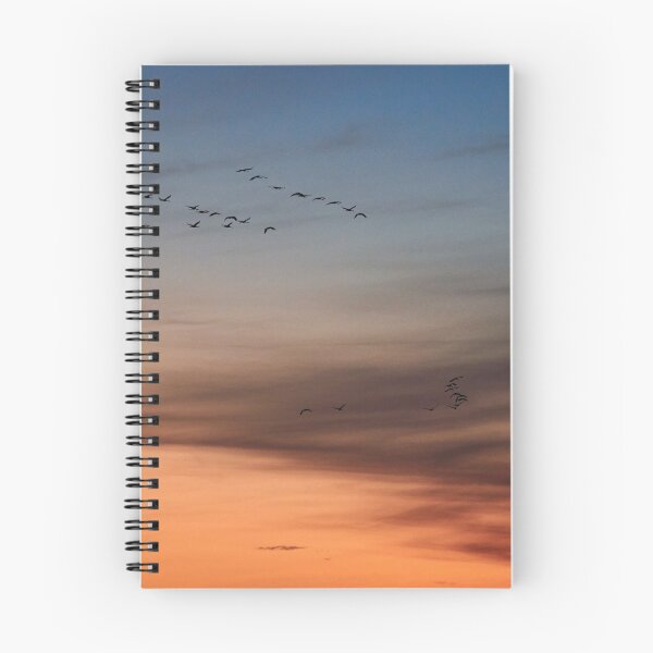 Item preview, From orange to blue and purple. Evening of the cranes designed and sold by Jouko Lehto Photography.