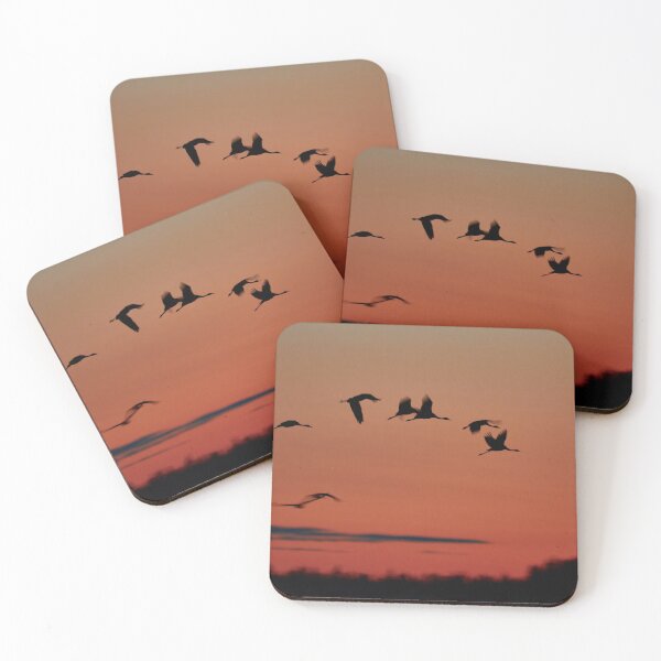 Item preview, Close to the landing zone. Evening of the cranes designed and sold by Jouko Lehto Photography.