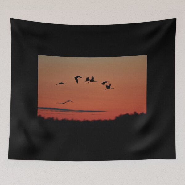 Item preview, Close to the landing zone. Evening of the cranes designed and sold by Jouko Lehto Photography.