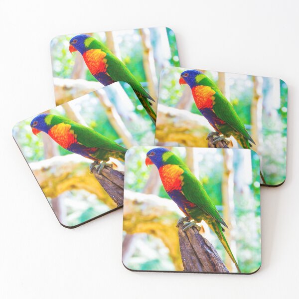 Item preview, Rainbow Lorikeet on a Tree Stump designed and sold by Steven Jodoin.