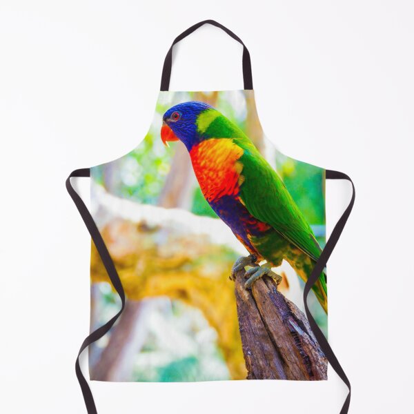 Item preview, Rainbow Lorikeet on a Tree Stump designed and sold by Steven Jodoin.
