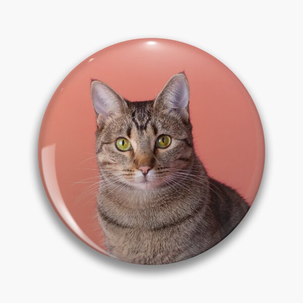 Artikelvorschau, Tabby Cat entworfen und verkauft von mialeephoto.