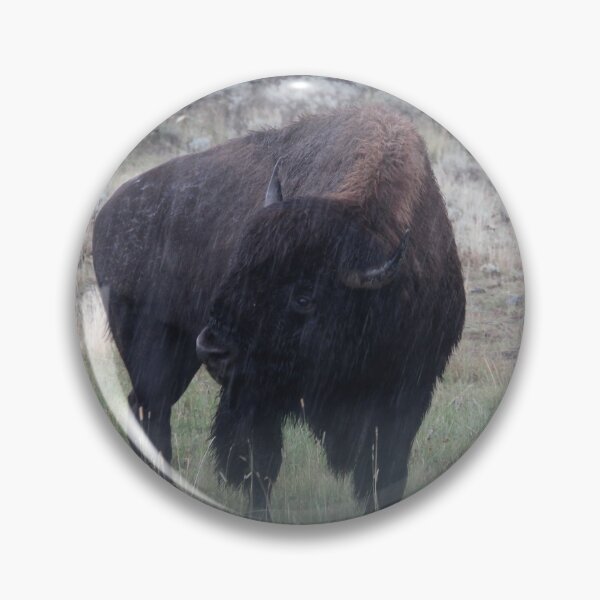 Item preview, Bison in the rain designed and sold by jrichard99.