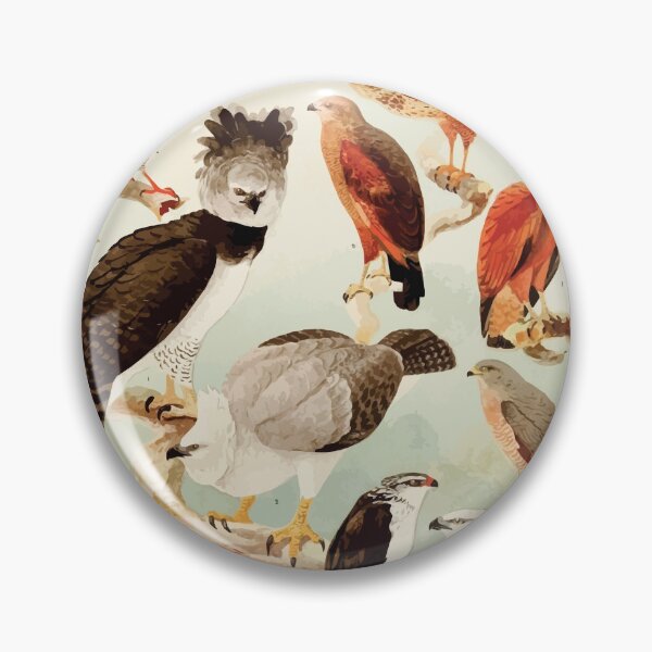 Item preview, Birds of the Amazon Album de aves amazonicas Emil Goldi 1906 042 Gavioes designed and sold by WetdryvacRB01.