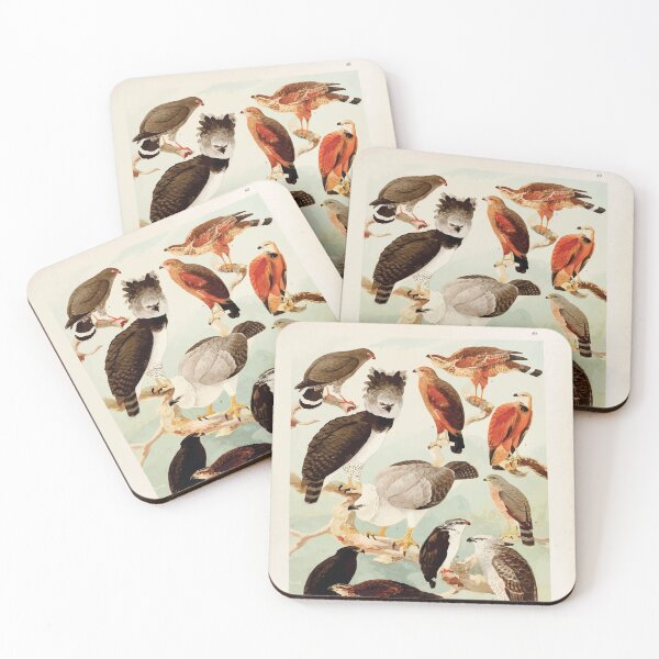 Item preview, Birds of the Amazon Album de aves amazonicas Emil Goldi 1906 042 Gavioes designed and sold by WetdryvacRB01.