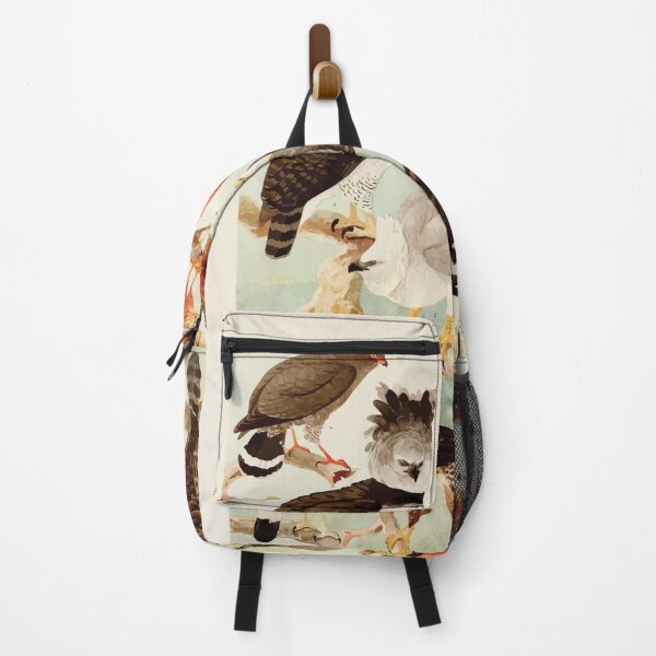 Item preview, Birds of the Amazon Album de aves amazonicas Emil Goldi 1906 042 Gavioes designed and sold by WetdryvacRB01.