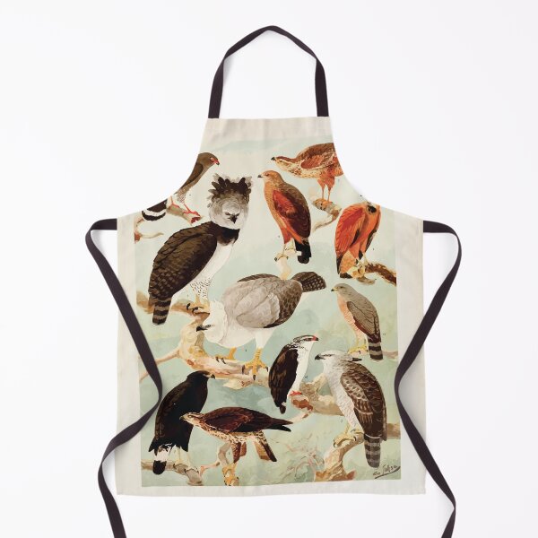 Item preview, Birds of the Amazon Album de aves amazonicas Emil Goldi 1906 042 Gavioes designed and sold by WetdryvacRB01.