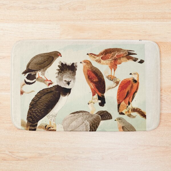 Item preview, Birds of the Amazon Album de aves amazonicas Emil Goldi 1906 042 Gavioes designed and sold by WetdryvacRB01.