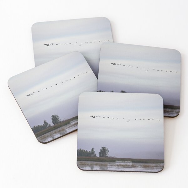 Item preview, Geese morning 2 designed and sold by Jouko Lehto Photography.