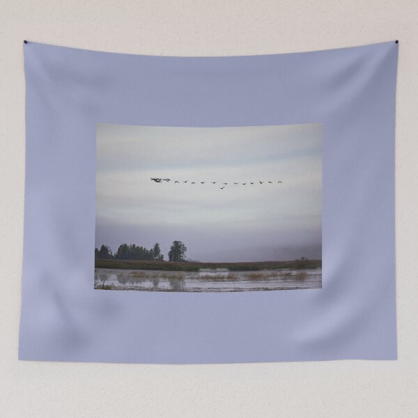 Item preview, Geese morning 2 designed and sold by Jouko Lehto Photography.