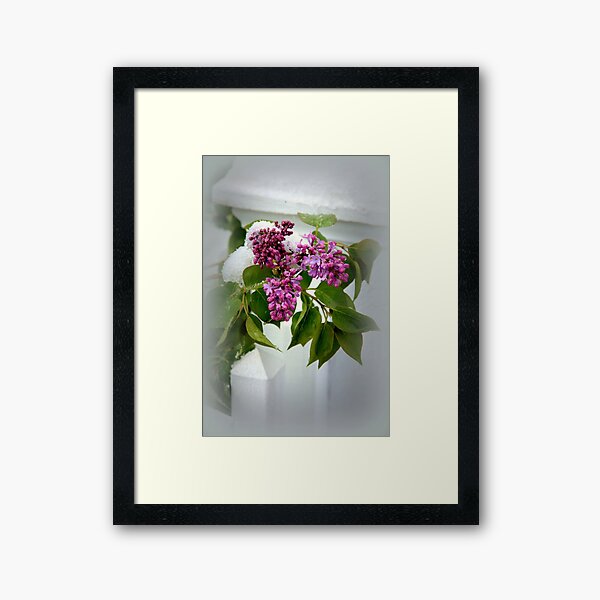 Item preview, Lilac In The Snow designed and sold by K D Graves Photography.