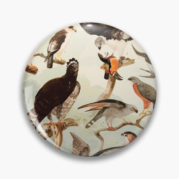 Item preview, Birds of the Amazon Album de aves amazonicas Emil Goldi 1906 043 Gavioes designed and sold by WetdryvacRB01.