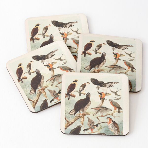 Item preview, Birds of the Amazon Album de aves amazonicas Emil Goldi 1906 043 Gavioes designed and sold by WetdryvacRB01.