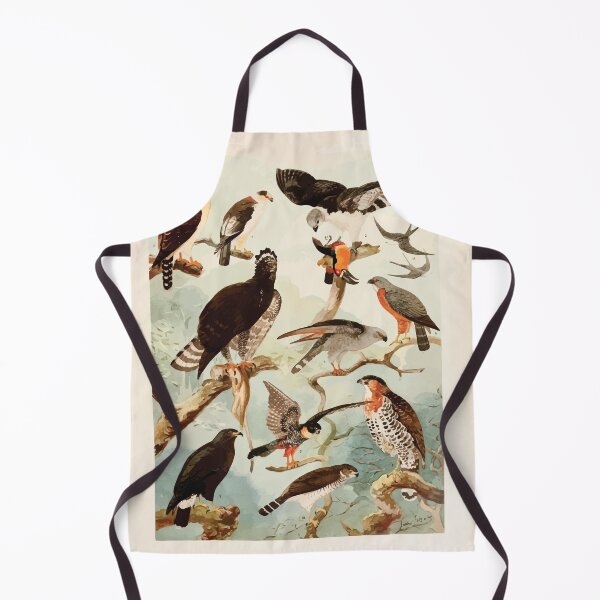Item preview, Birds of the Amazon Album de aves amazonicas Emil Goldi 1906 043 Gavioes designed and sold by WetdryvacRB01.