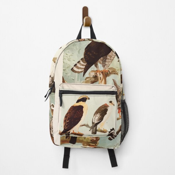 Item preview, Birds of the Amazon Album de aves amazonicas Emil Goldi 1906 043 Gavioes designed and sold by WetdryvacRB01.