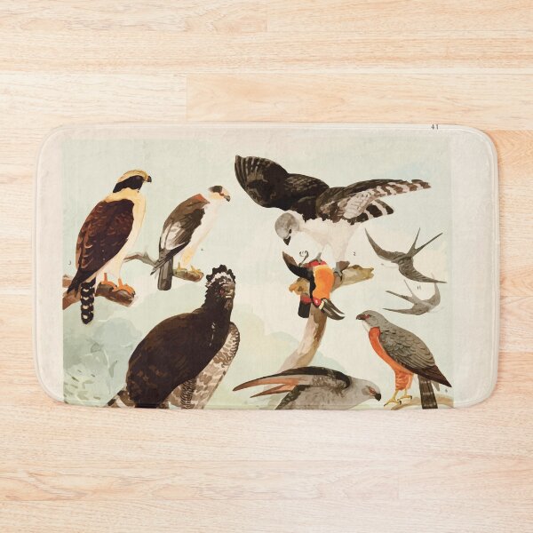 Item preview, Birds of the Amazon Album de aves amazonicas Emil Goldi 1906 043 Gavioes designed and sold by WetdryvacRB01.