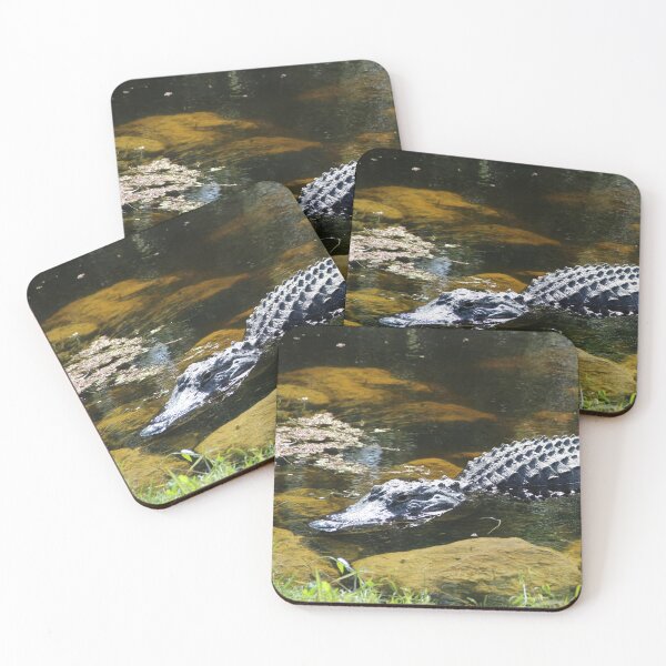 Item preview, Large Gator in a Pond designed and sold by jrichard99.